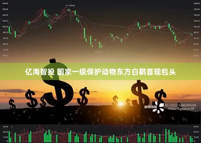 亿海智投 国家一级保护动物东方白鹳首现包头