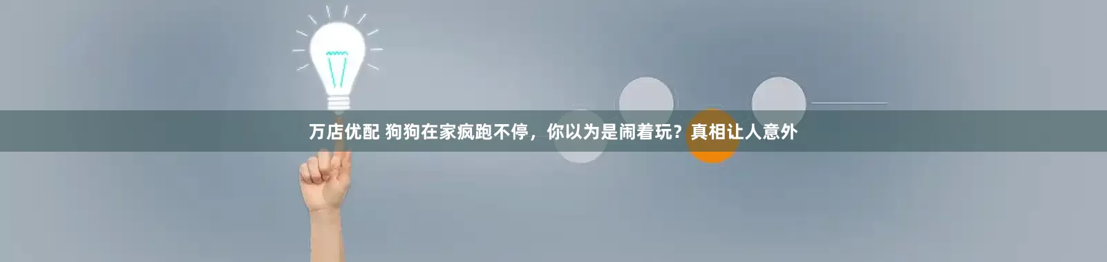 万店优配 狗狗在家疯跑不停，你以为是闹着玩？真相让人意外
