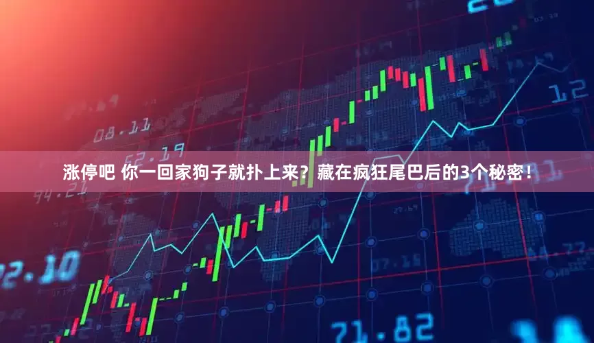 涨停吧 你一回家狗子就扑上来？藏在疯狂尾巴后的3个秘密！