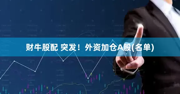 财牛股配 突发！外资加仓A股(名单)