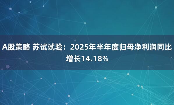 A股策略 苏试试验：2025年半年度归母净利润同比增长14.18%
